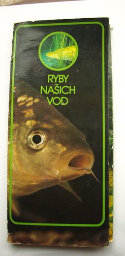Ryby našich vod, 1986