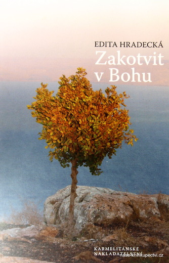 Zakotvit